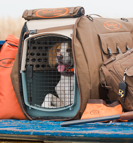 Traveling with your Bird Dog