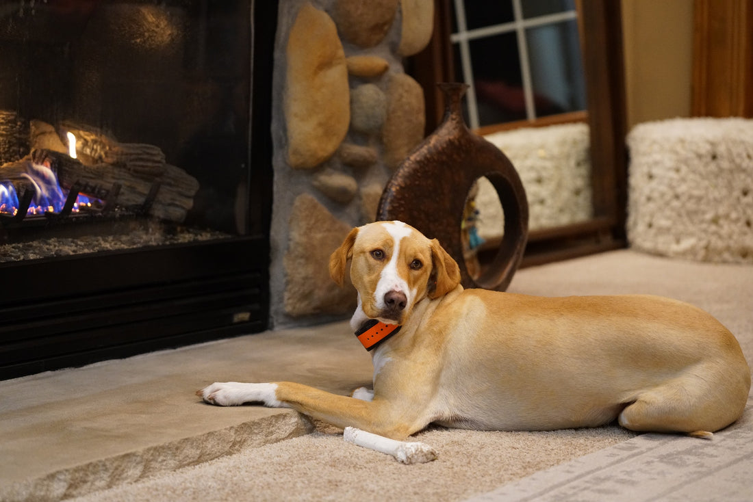 First Aid for Hot Spots