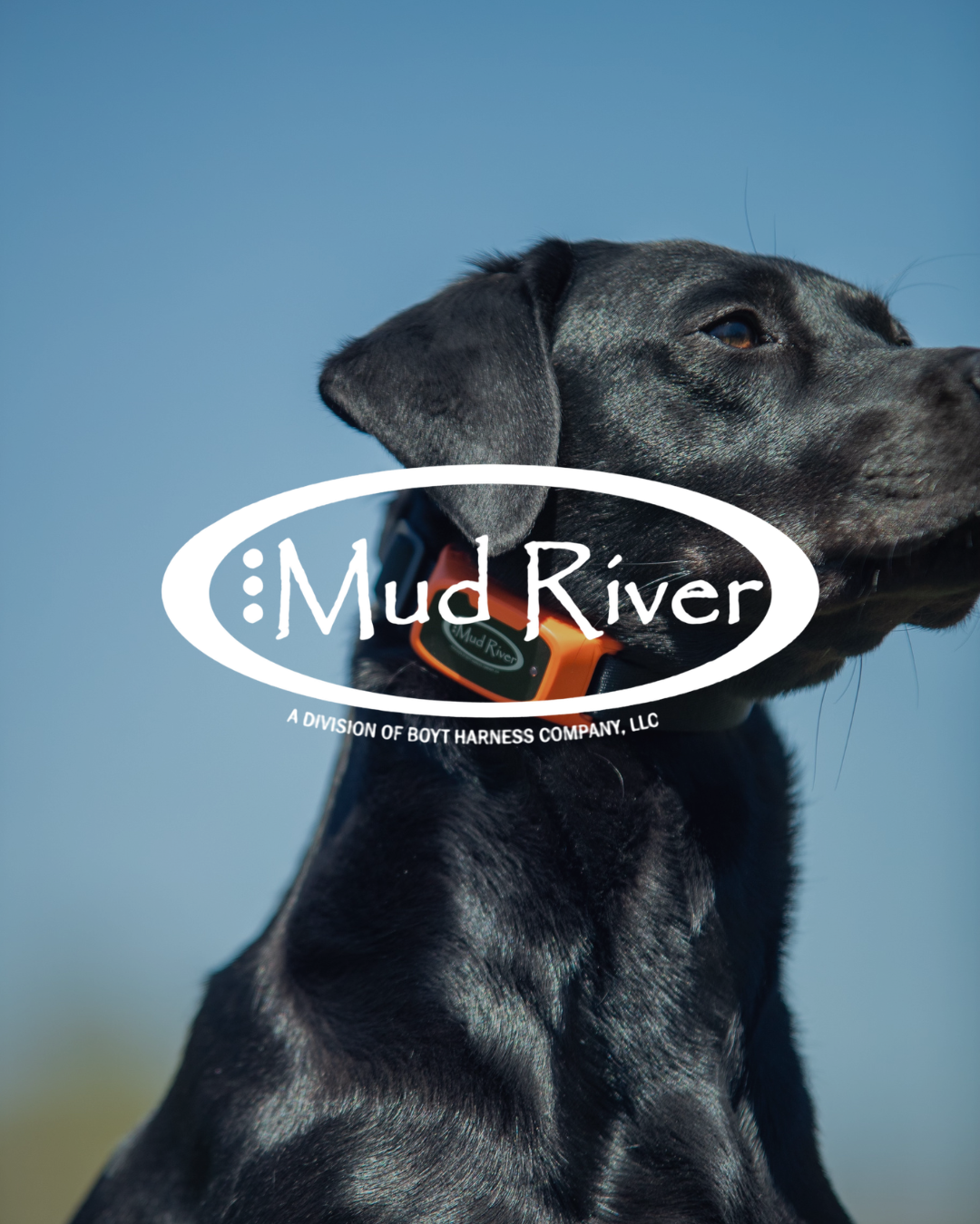 Mud River
