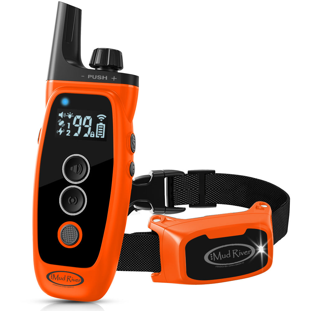 Dog Training E-Collar w/Remote
