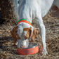 Mud River Stainless Dog Bowl